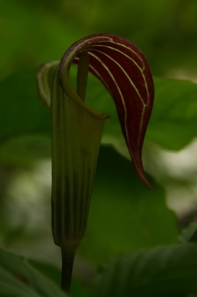 2012 05 08 2197